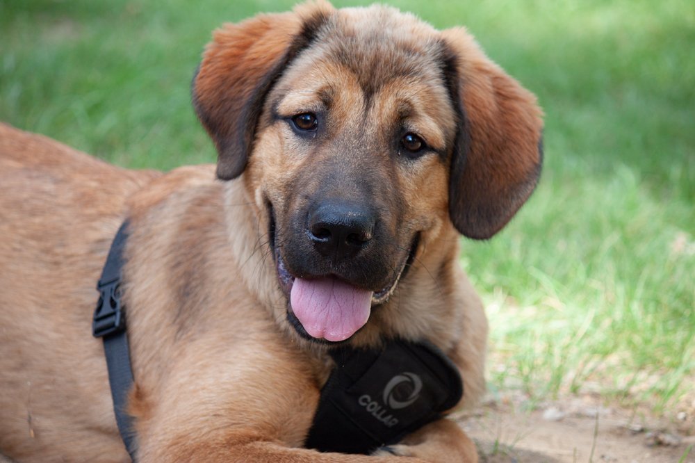 Photograph by Оксана Корчагина