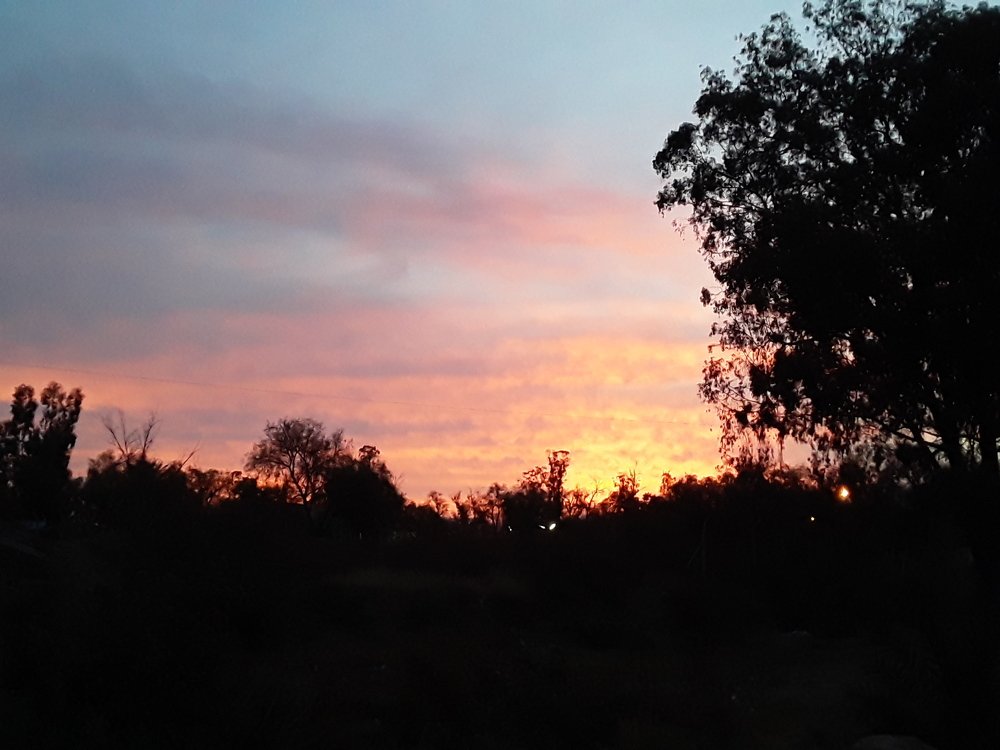 Photograph by Maria Mercedes Fuertes Flores