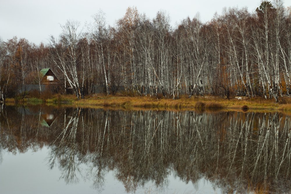 Photograph by Дмитрий Портных