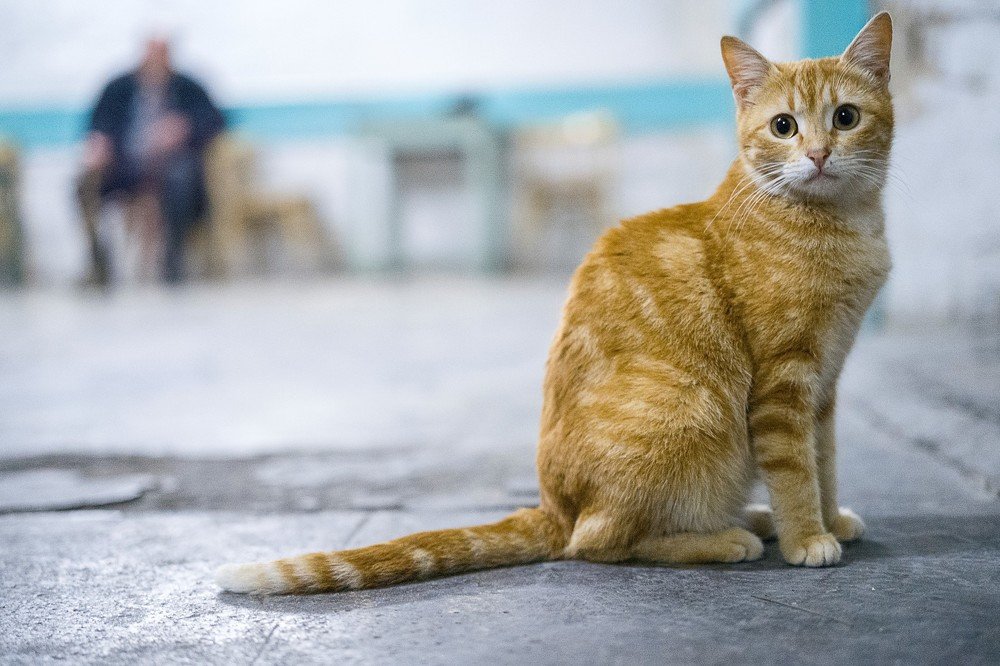 Photograph by Антон Шаркас