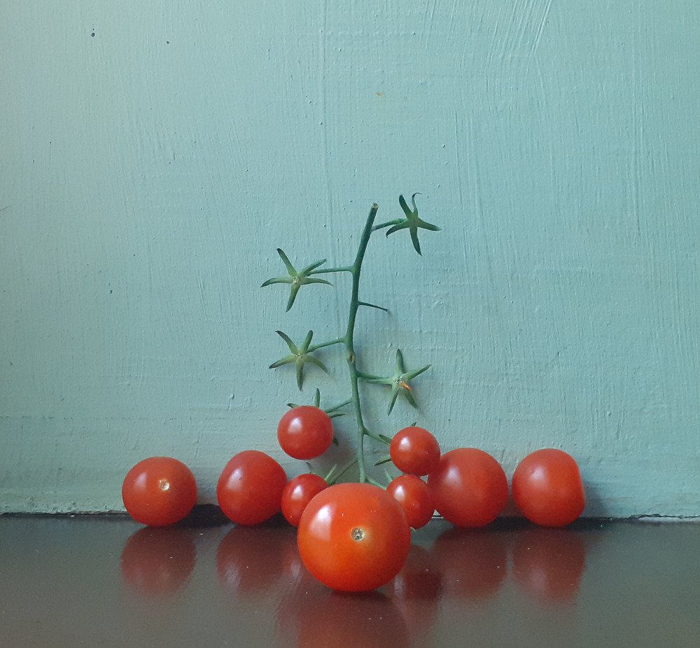 Photograph by Ольга Лесняк