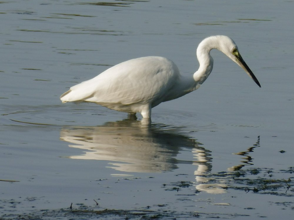 Photograph by Елена Коробкина