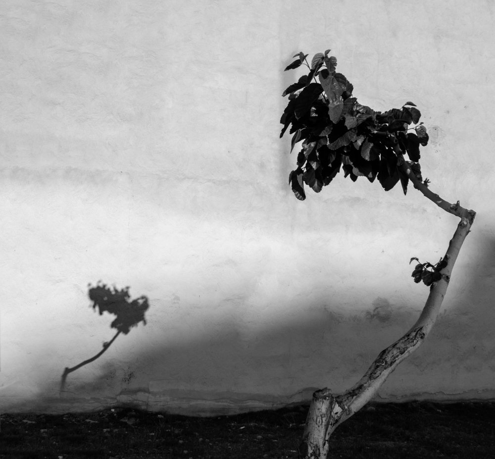 Photograph by hosein tajmir riahy