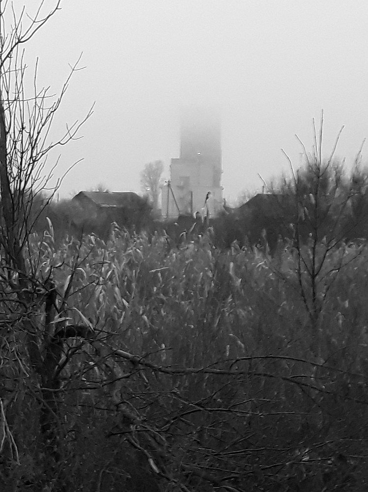 Photograph by Юрий Варюхин