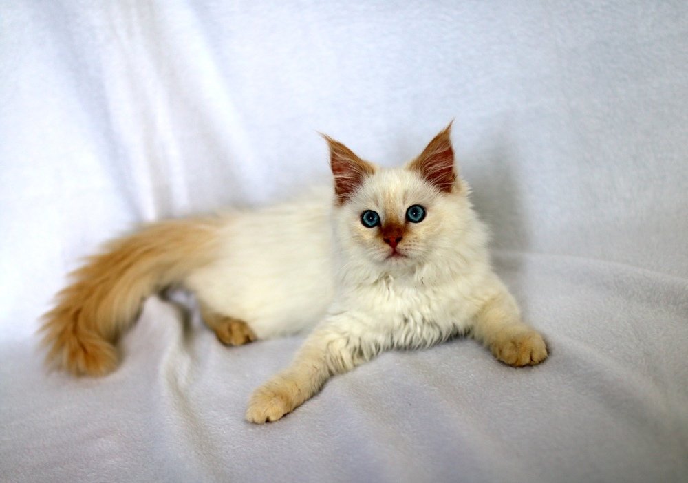 Photograph by Юрий Варюхин