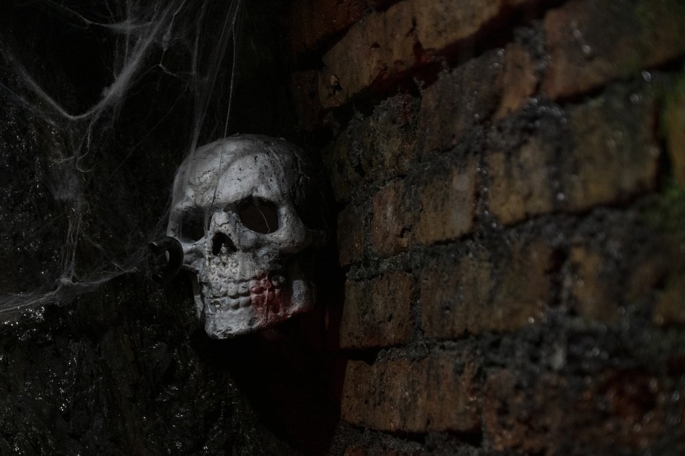 Photograph by Ashling Hayes