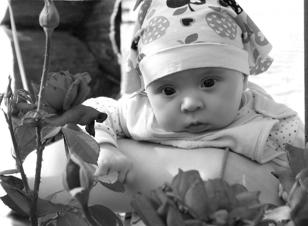 Photograph by Елена Стрельцова