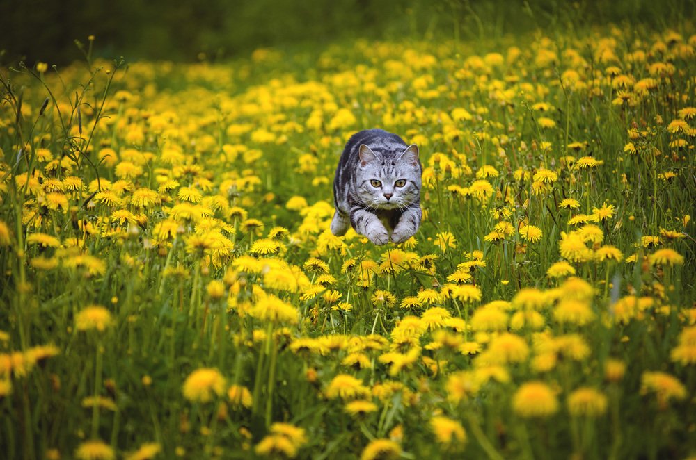 Photograph by Надежда Веденеева
