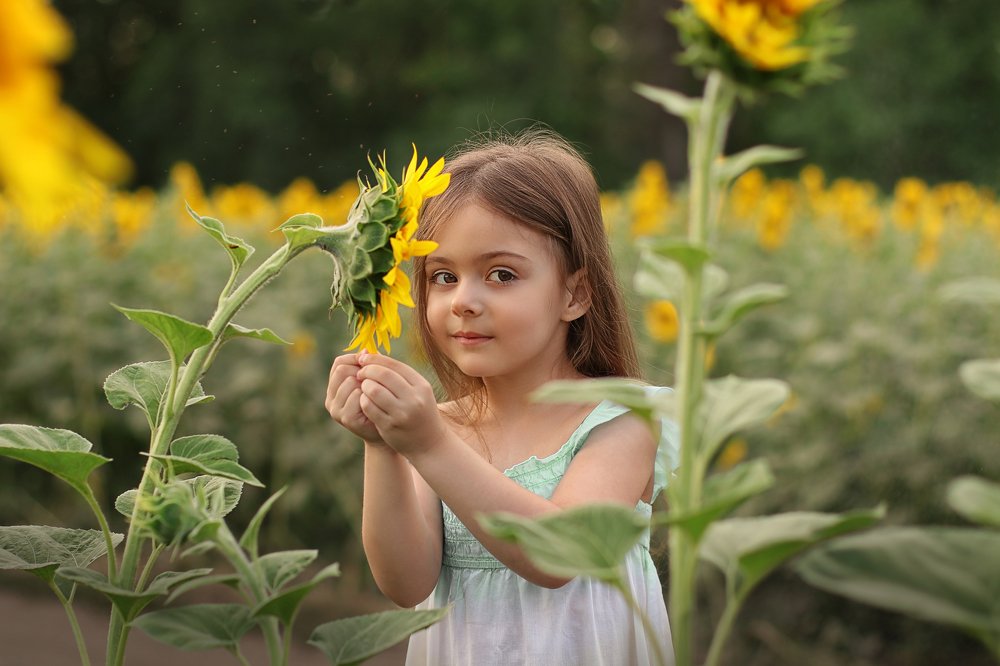 Photograph by Елена Сергина
