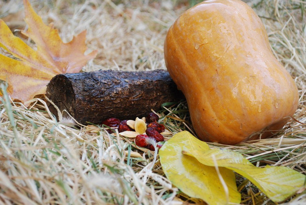 Фотография автора Red Woman