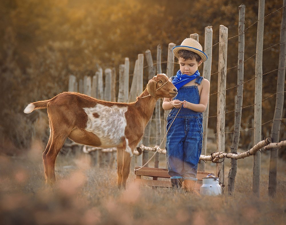 Pedrito en el campo.