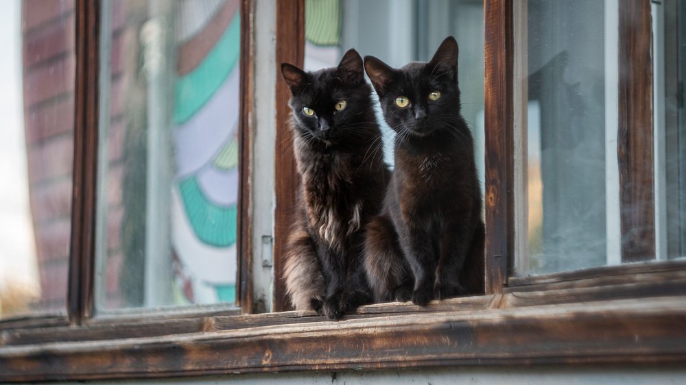 Photograph by Рымаров Александр