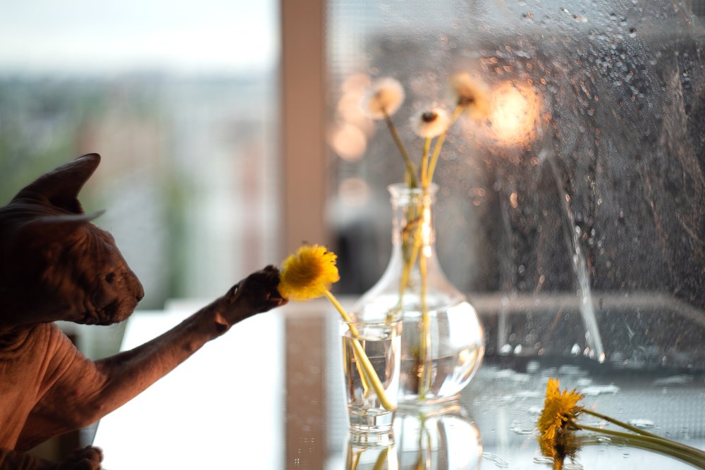 Photograph by Юлия Осипенко