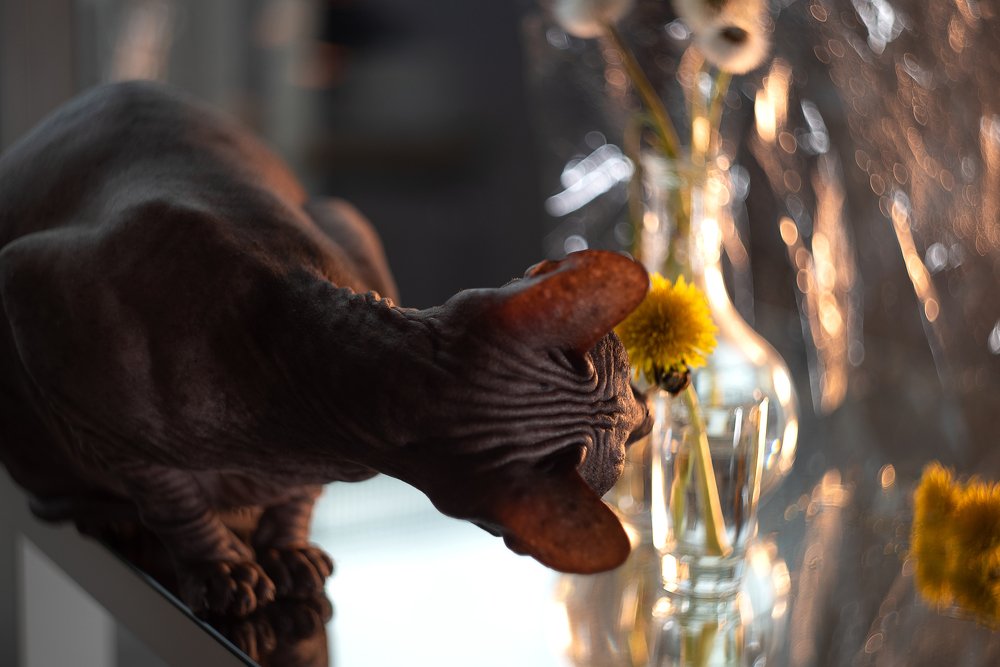 Photograph by Юлия Осипенко