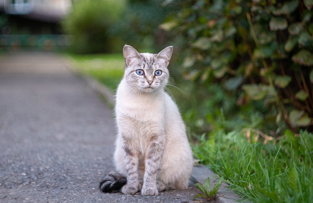 Photograph by Рымаров Александр