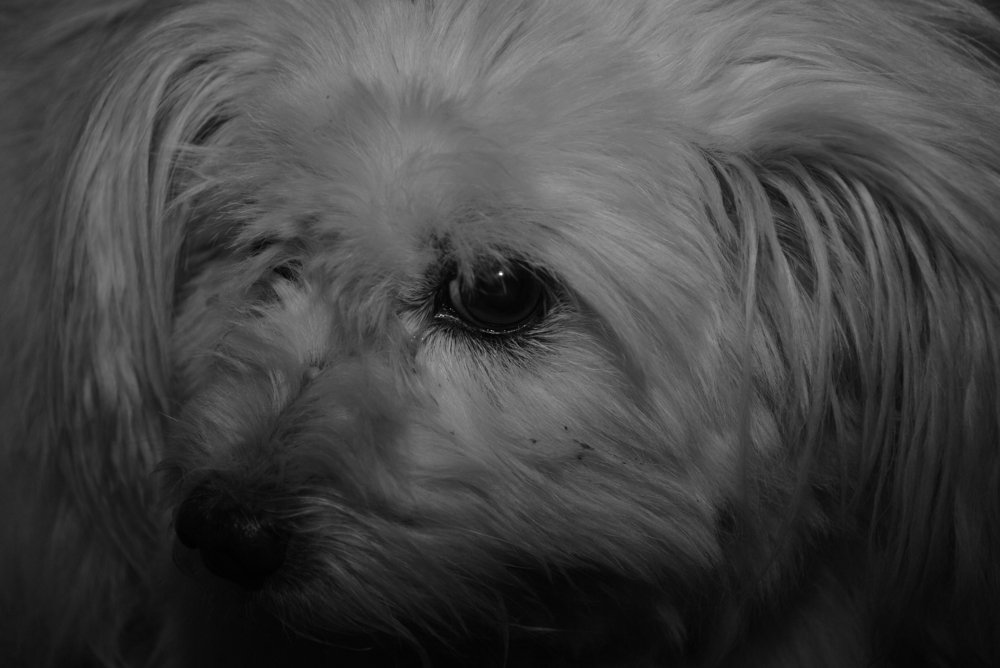 Фотография автора Red Woman