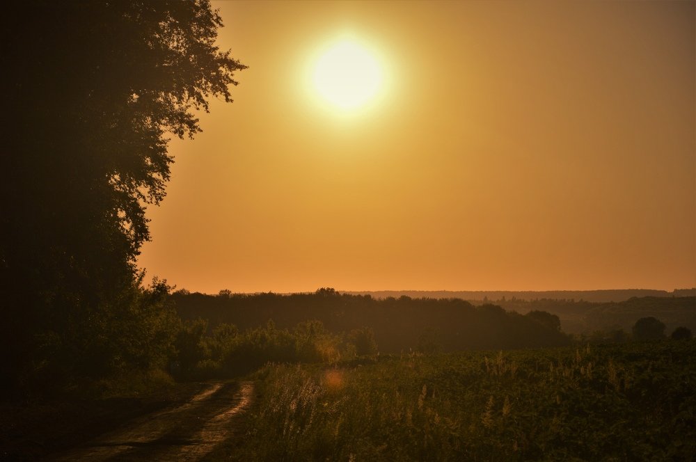 Photograph by Анна Аверьянова