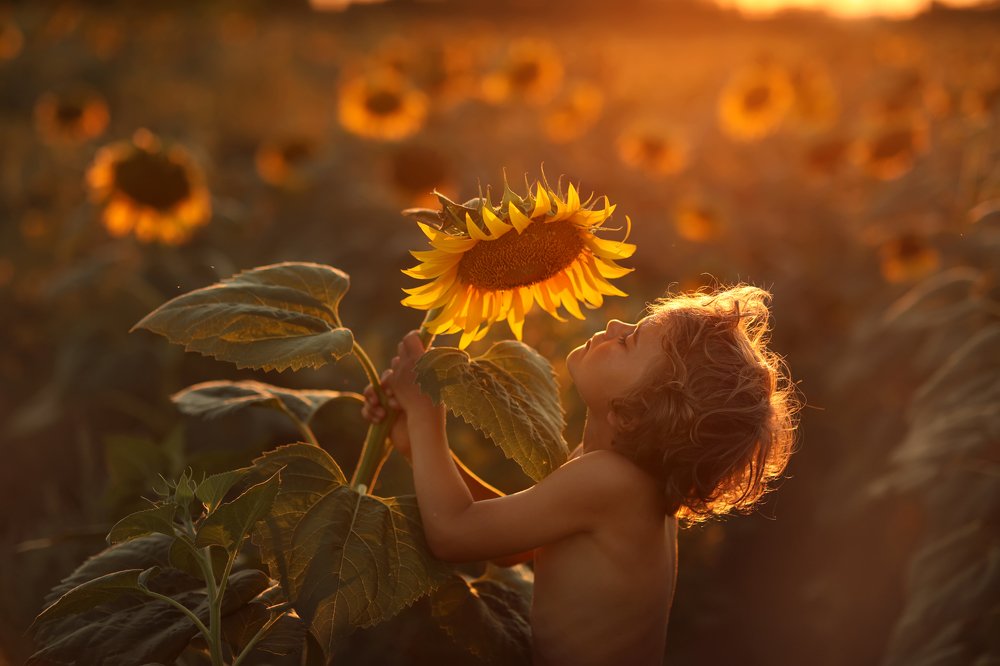 Photograph by Светлана Тернопол