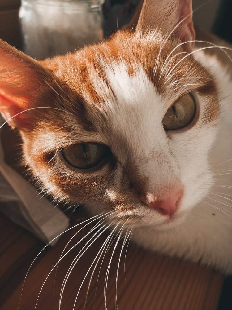 Photograph by Анна Аверьянова