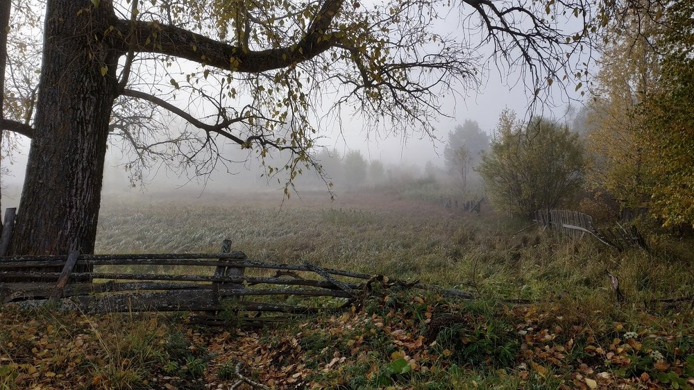 Photograph by Наталья Слудникова