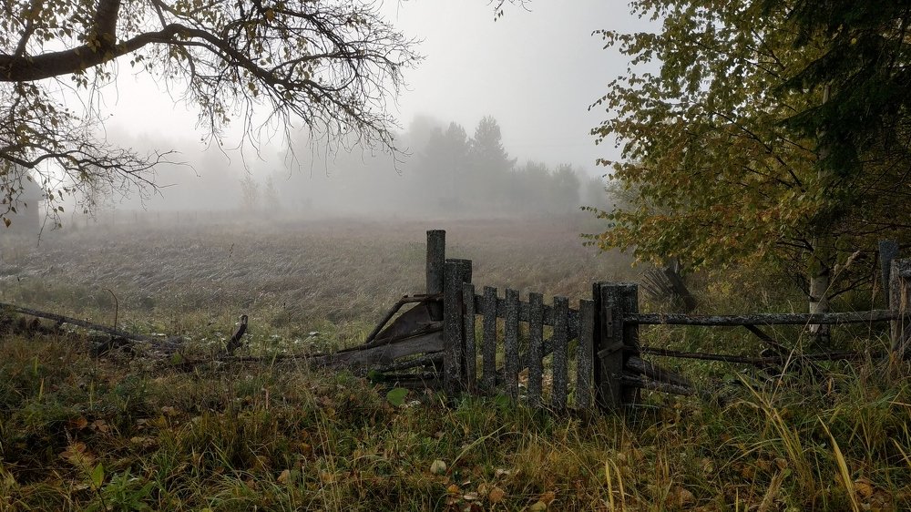 Photograph by Наталья Слудникова