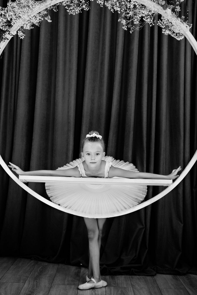 Маленький лебедь