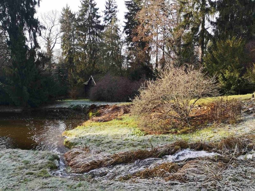 Photograph by Ирина Пшеничникова