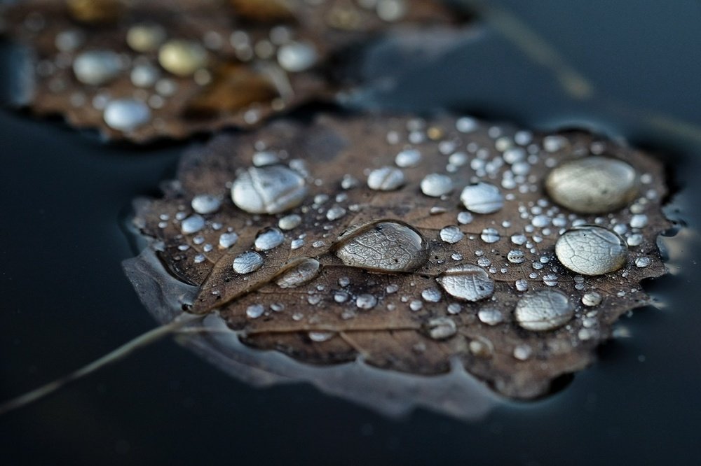 Photograph by Евгений Андреев