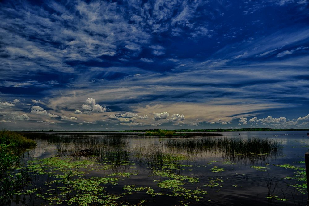 Photograph by jorge arnoten