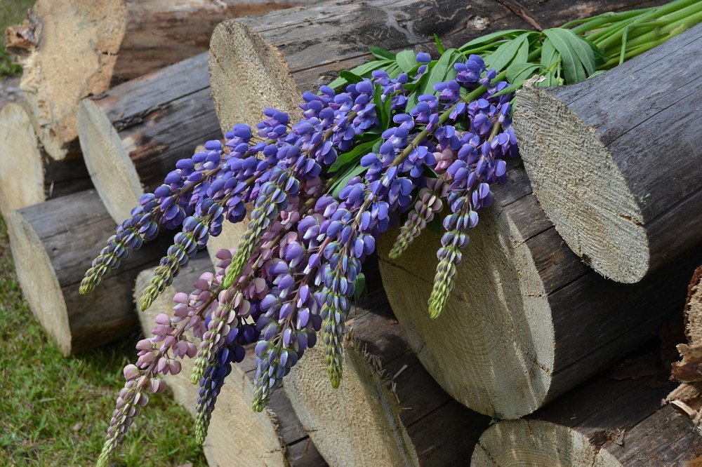 Photograph by Наталья Слудникова