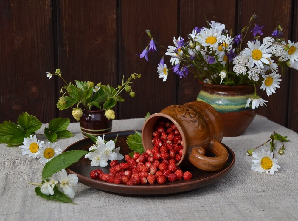 Photograph by Наталья Слудникова