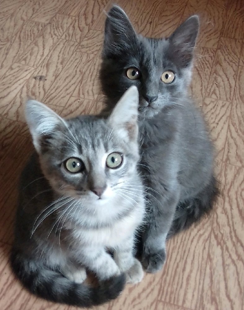 Photograph by Елена Качнова