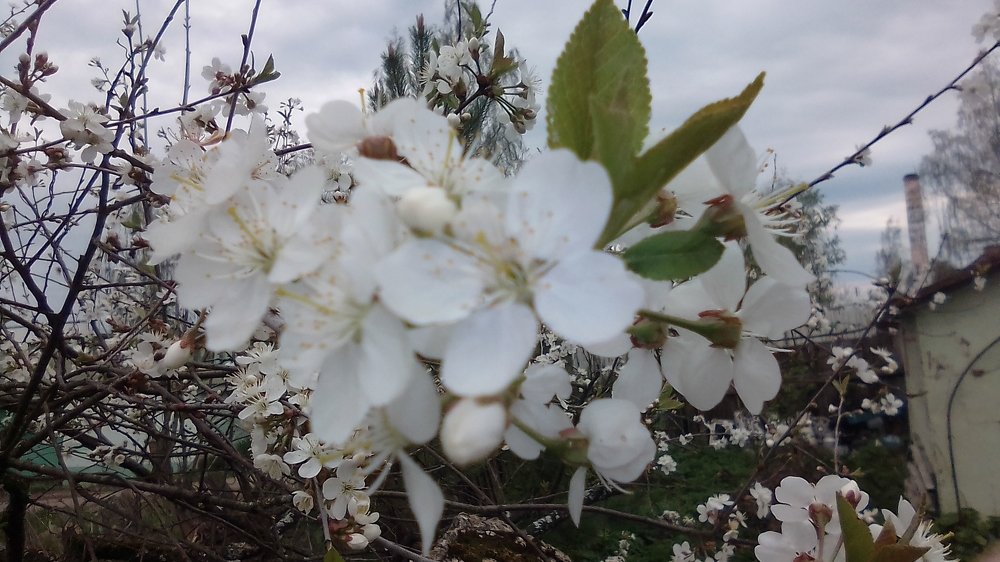 Photograph by Елена Качнова