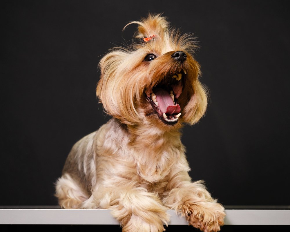 Photograph by Городничева Елена