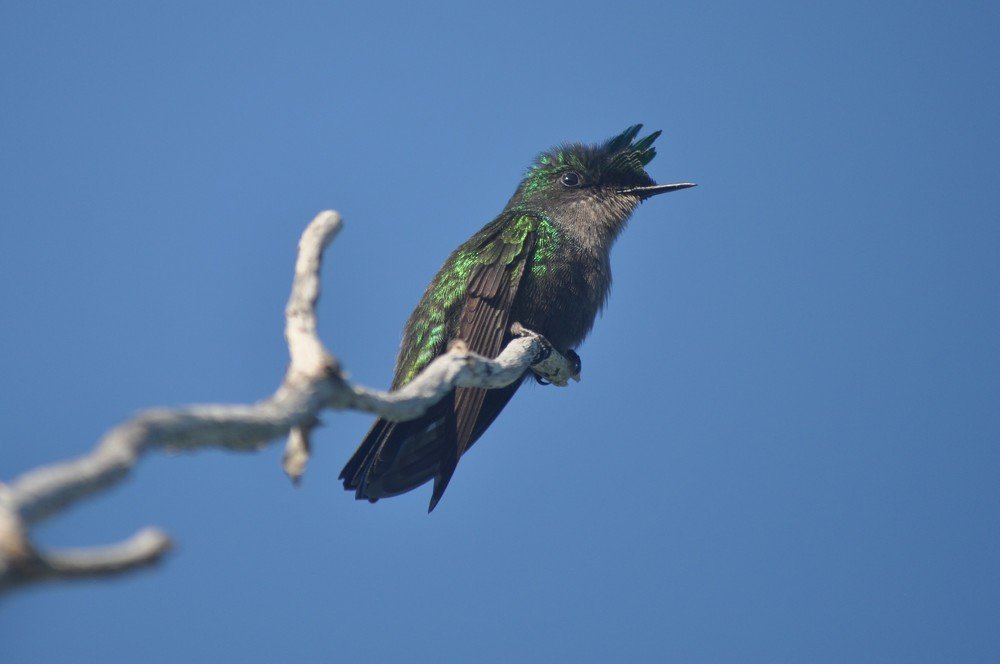 Photograph by stefanini alexis