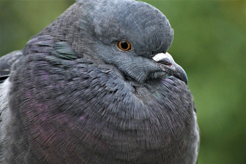 Photograph by stefanini alexis