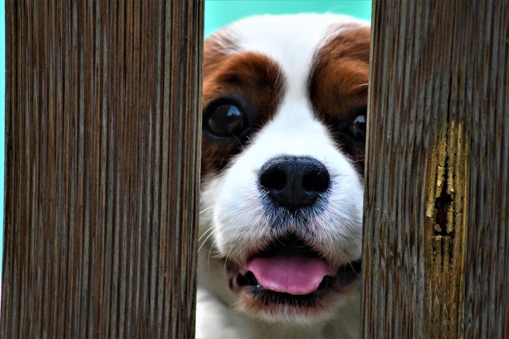 Photograph by stefanini alexis