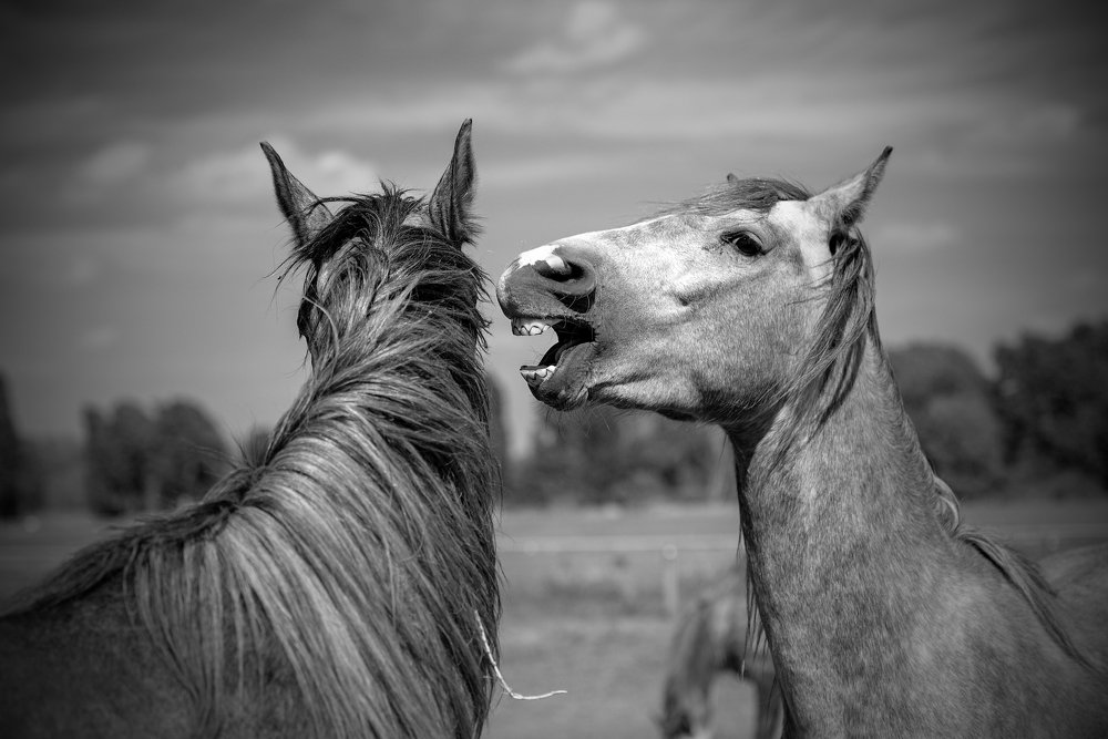 Photograph by Milan Uhrin