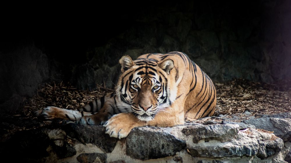 Photograph by Юрий Юрченко