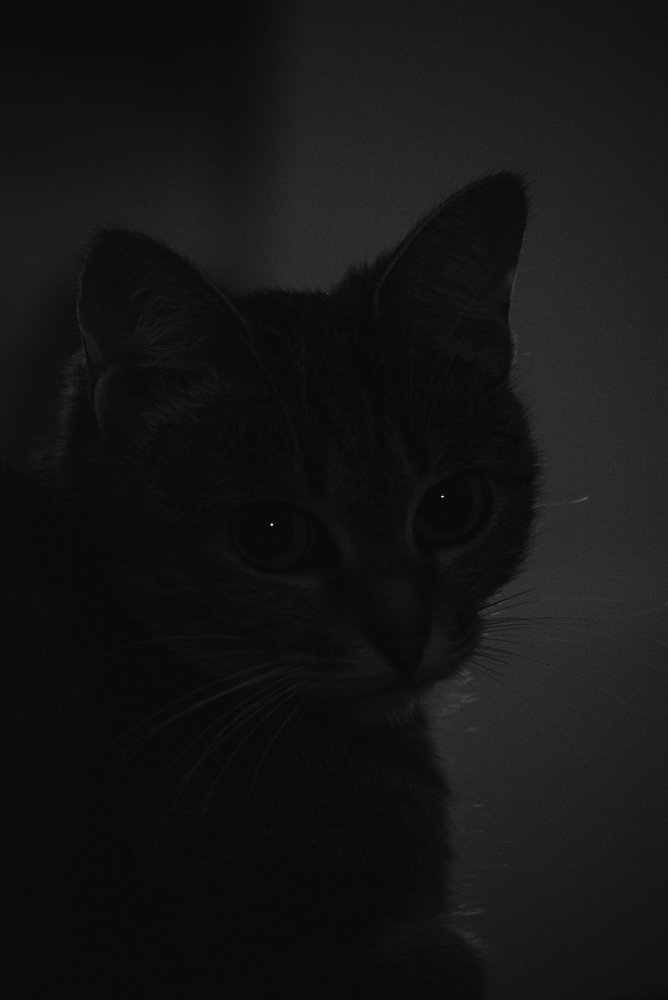 Photograph by Артем Полинин