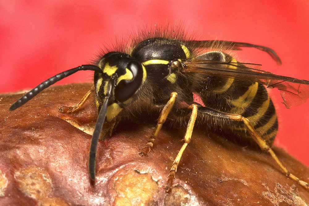 Фотография автора Марина Кулакова