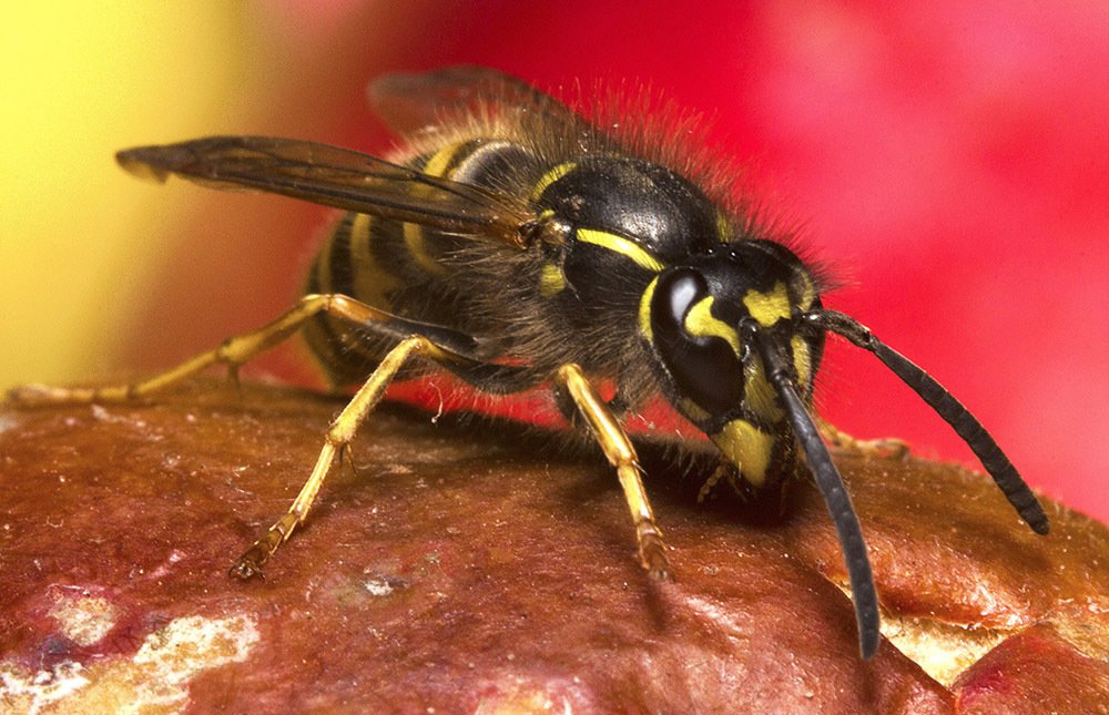 Фотография автора Марина Кулакова