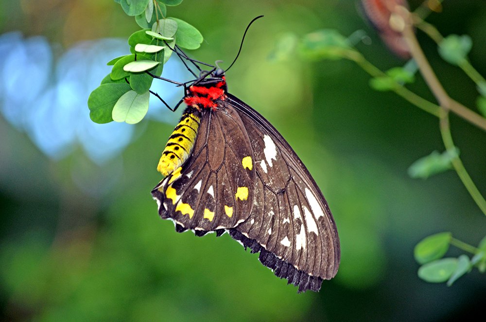 Photograph by Liliana Grup