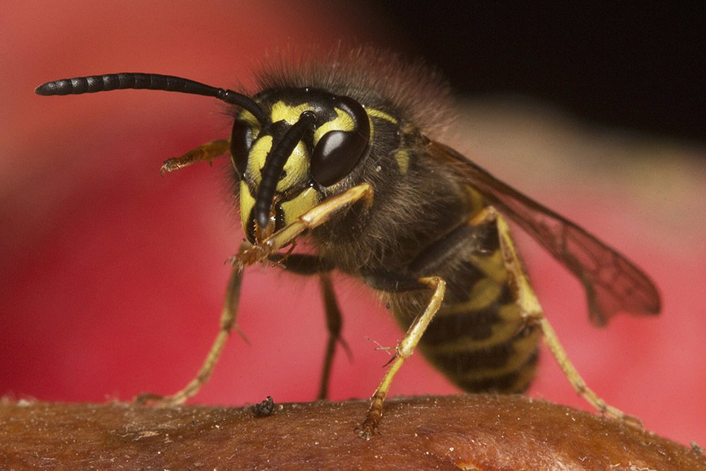 Фотография автора Марина Кулакова