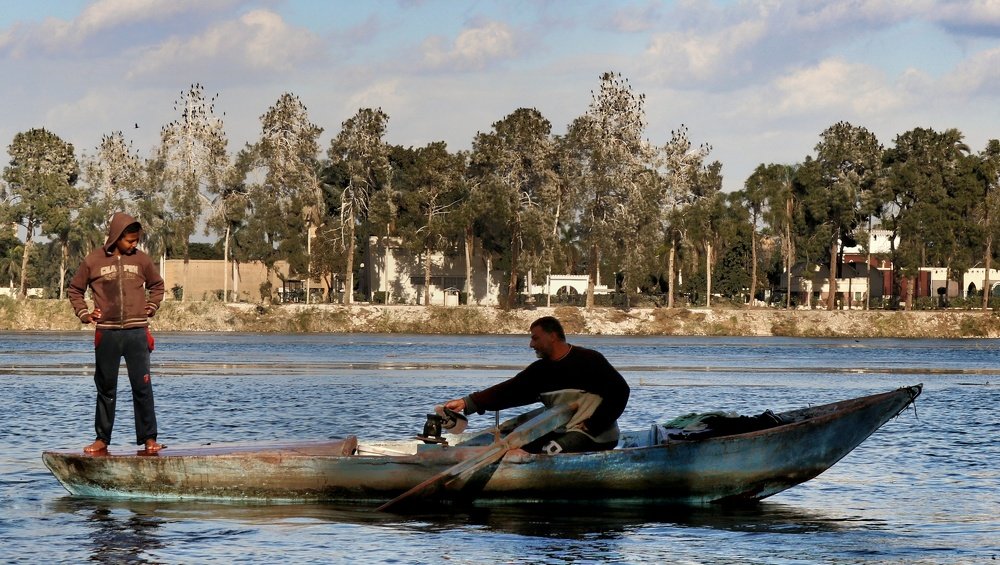 Фотография автора Adel elqamhawi Mohamed