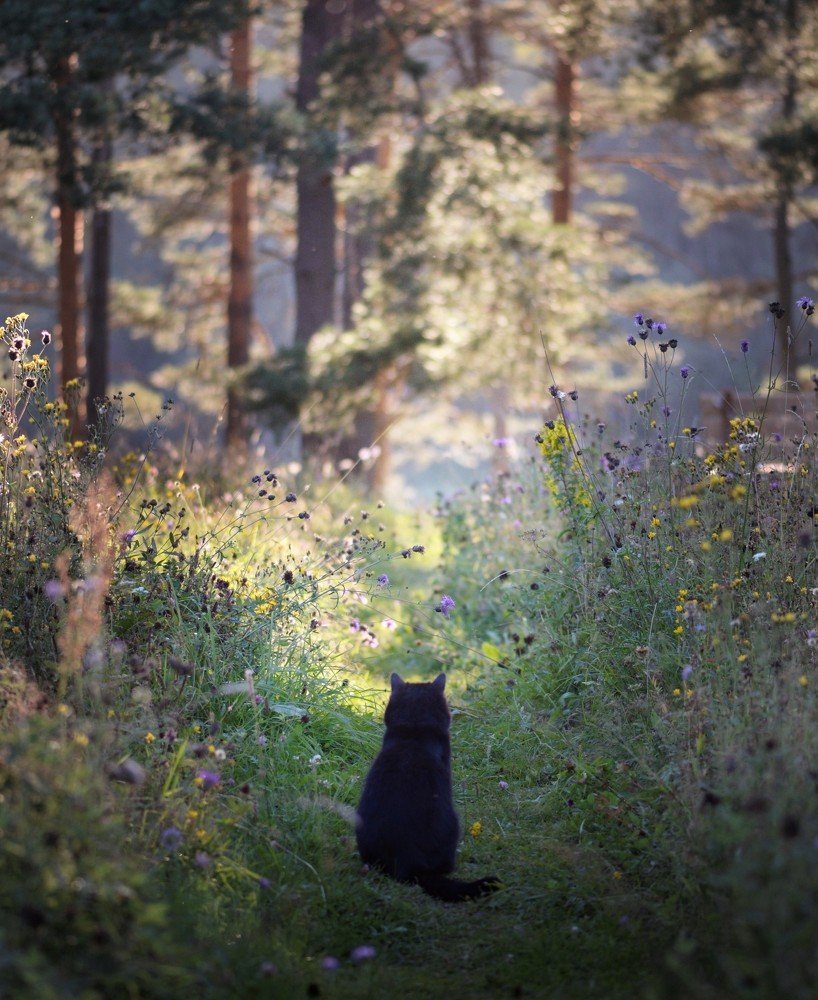 Photograph by Алексей Тихонов