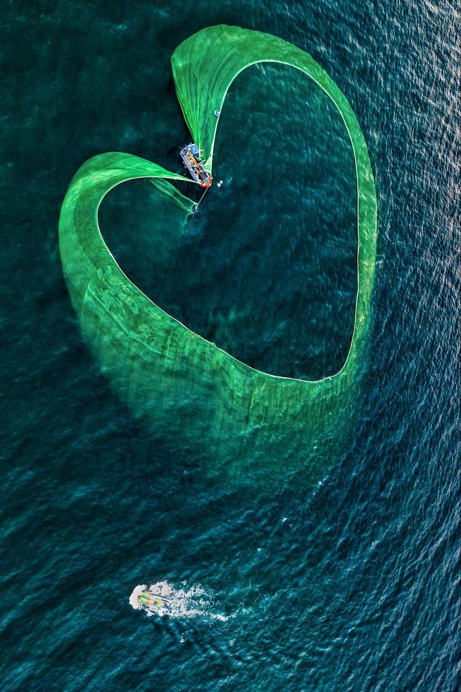 Photograph by NGUYỄN MINH THÀNH QUÂN