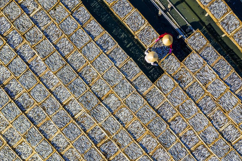 Photograph by NGUYỄN MINH THÀNH QUÂN