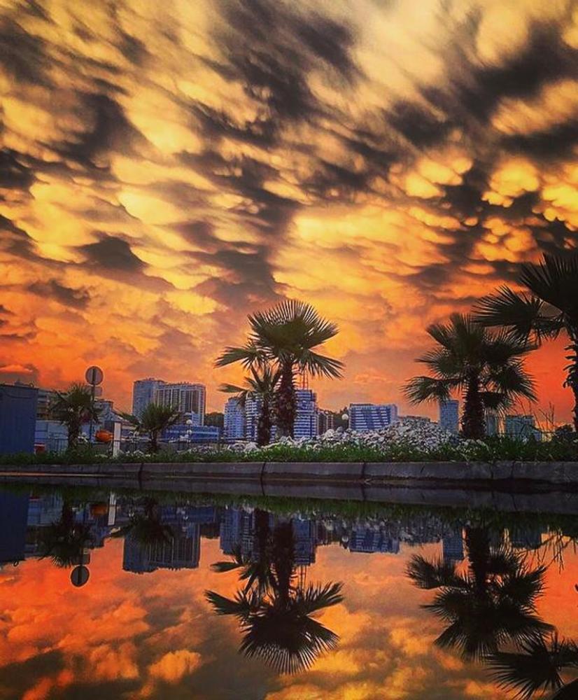 Photograph by Теодора Милекич