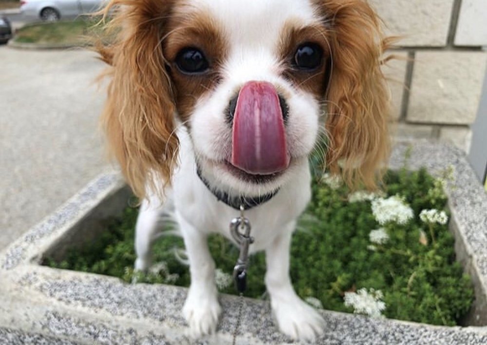 Photograph by Теодора Милекич